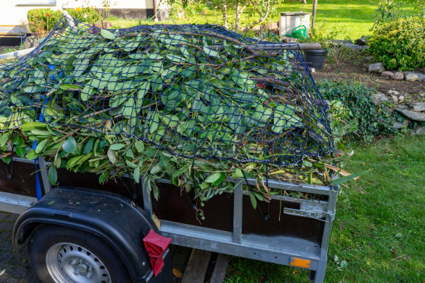 Best Recycling Services for Junk  in Pigeon Forge, TN
